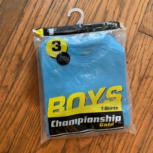 3-pack Light Blue T-Shirts Size 2T/3T Tees